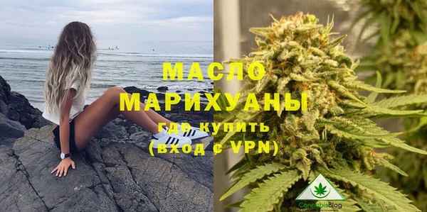 индика Лабытнанги