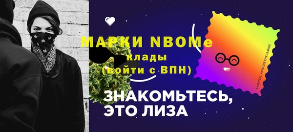 индика Лабытнанги