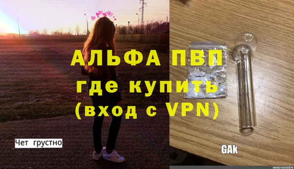 шишки Лагань