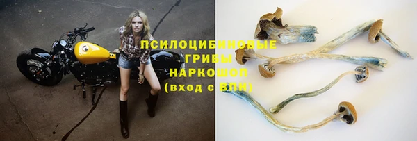 индика Лабытнанги