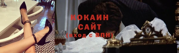 индика Лабытнанги