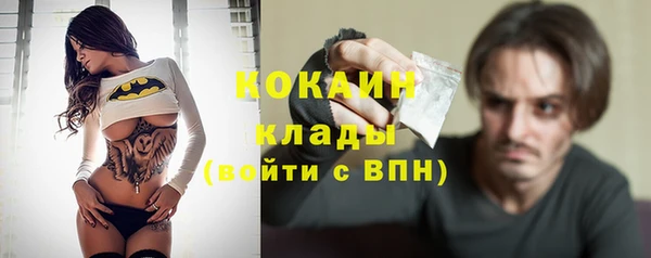 индика Лабытнанги