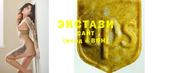 индика Лабытнанги