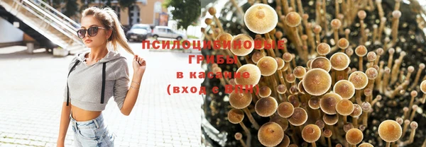 индика Лабытнанги