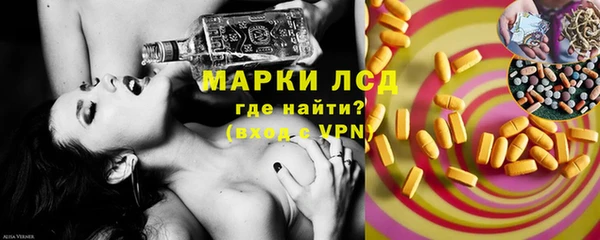 индика Лабытнанги