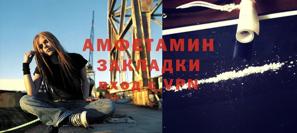 шишки Лагань