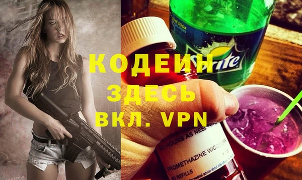 индика Лабытнанги