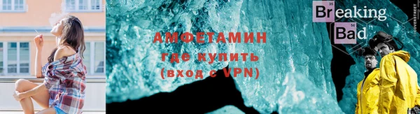 шишки Лагань
