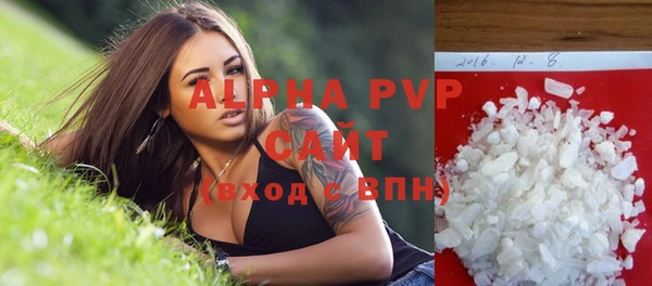 индика Лабытнанги