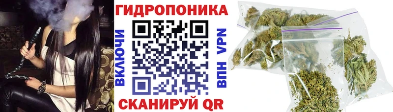 Купить закладки  Берёзовский  Шишки марихуана THC 21% 